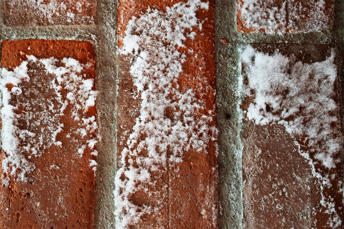 Heavy white efflorescence salt deposits on red brick wall
