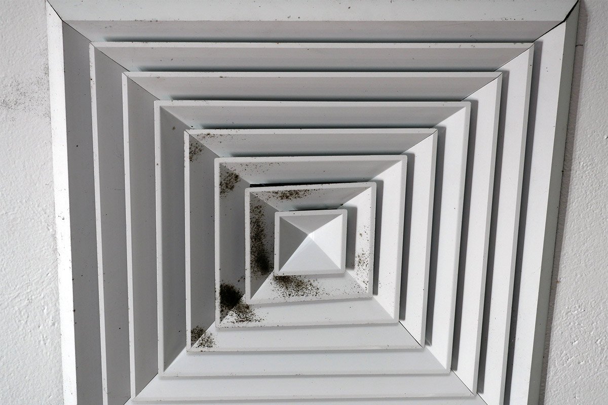 Black mold growth on HVAC vent louvers.