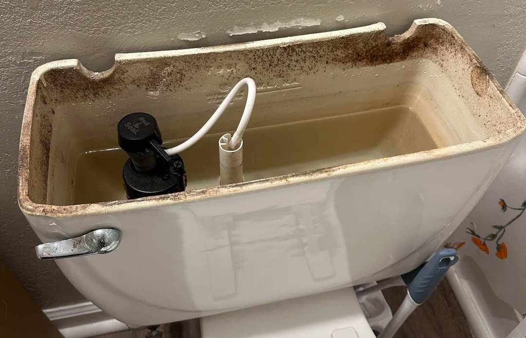 Black mold spots inside a toilet tank on porcelain.